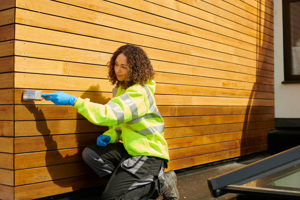 Best Fascia and Soffit Installation  in Owenton, KY